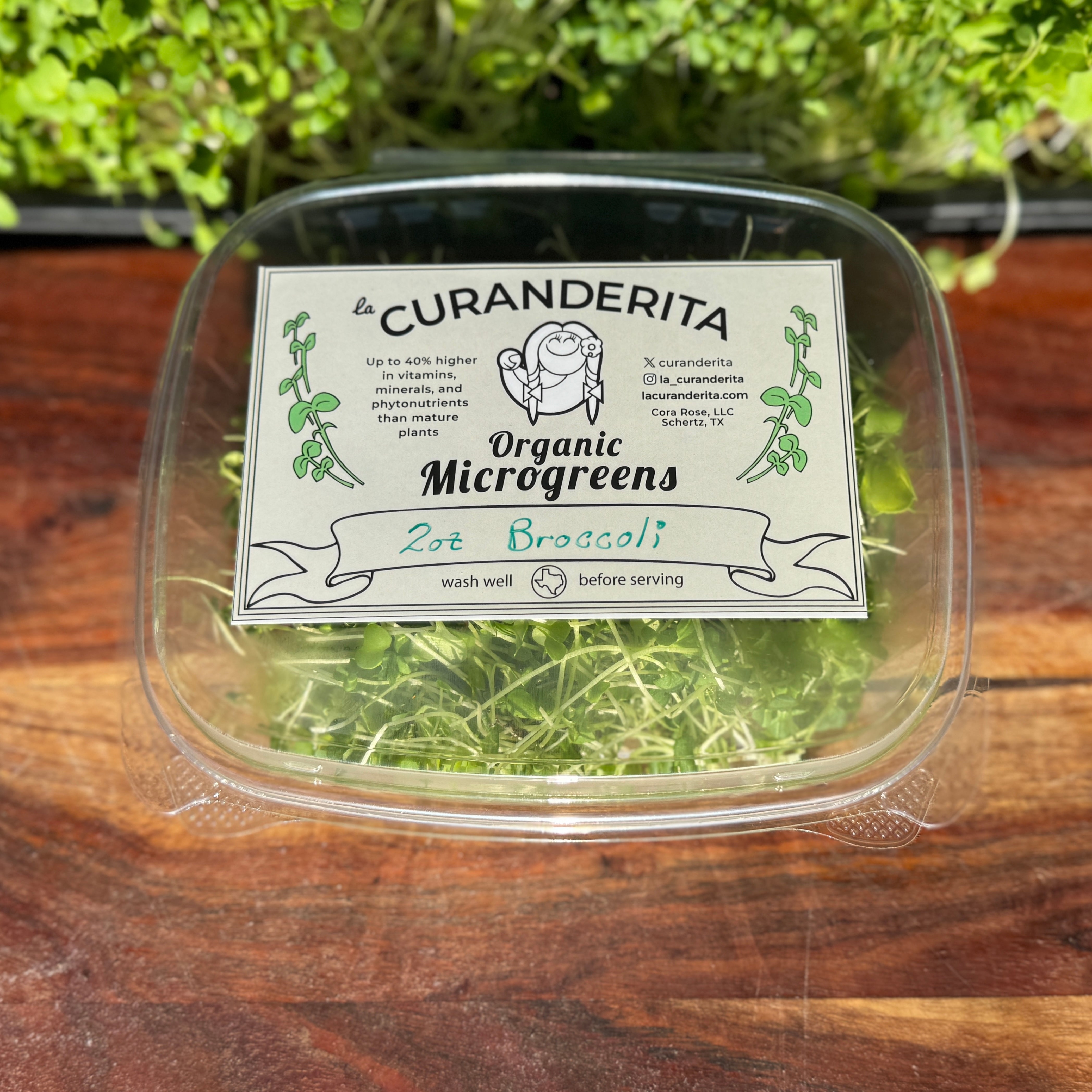 Organic Broccoli Microgreens 2 Oz